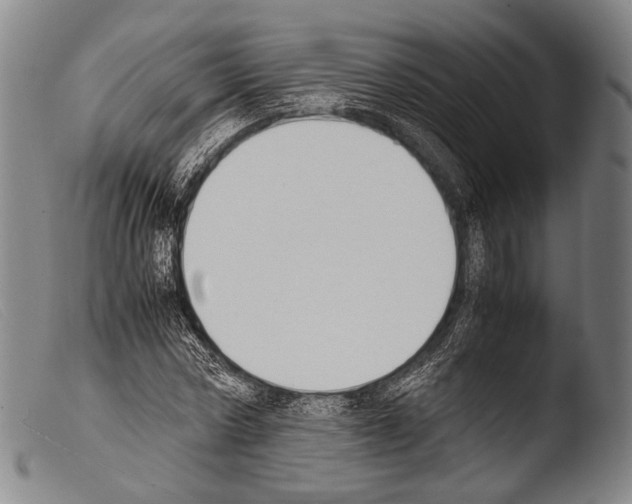 X0000103940778200810311525