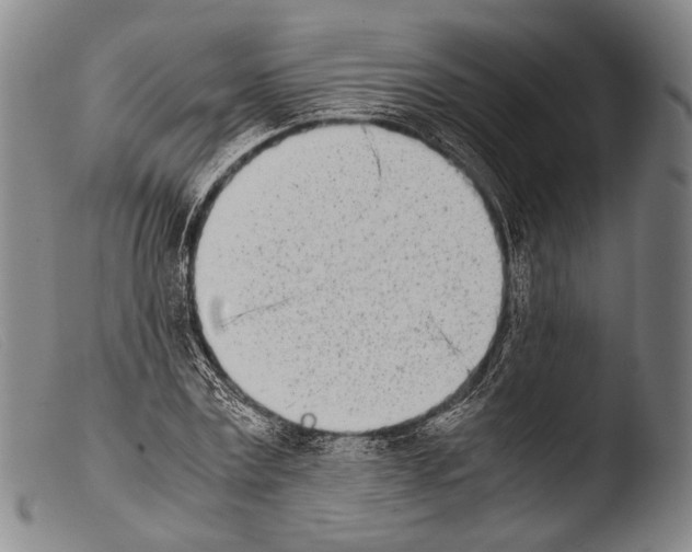 X0000103940779200810311525