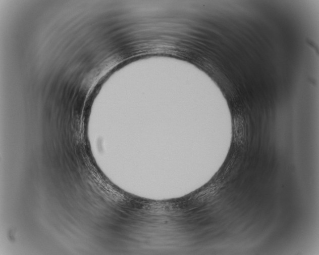 X0000103940780200810311525