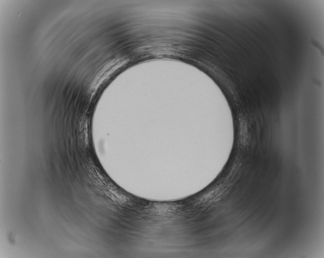 X0000103940782200810311525