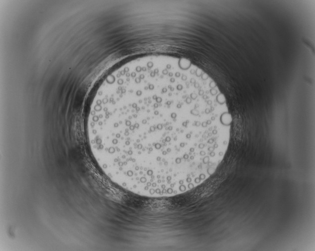 X0000103940784200810311524