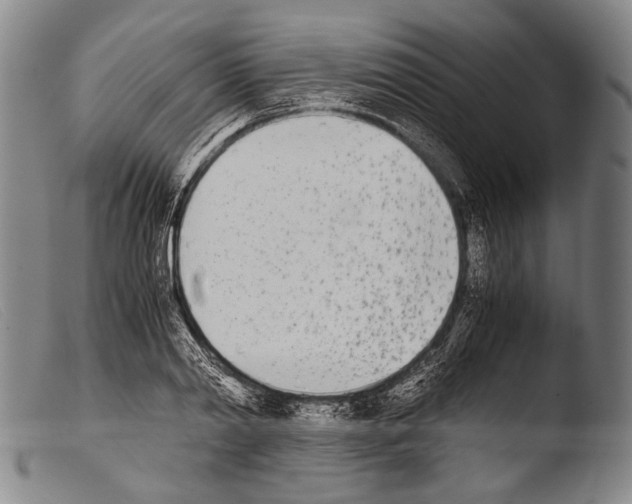 X0000103940790200810311524