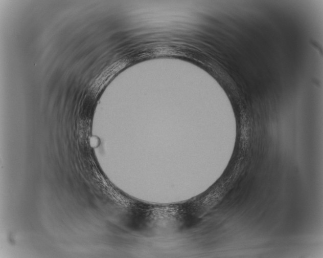 X0000103940793200810311524