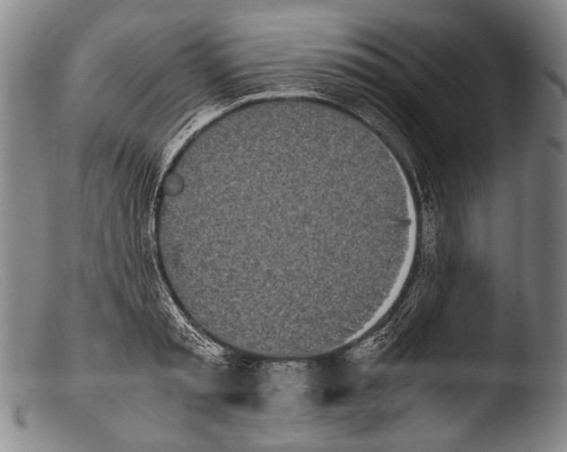 X0000103940797200810311524