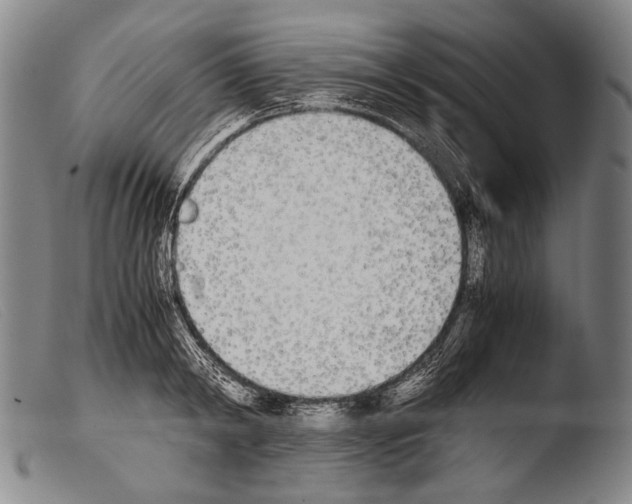 X0000103940798200810311524