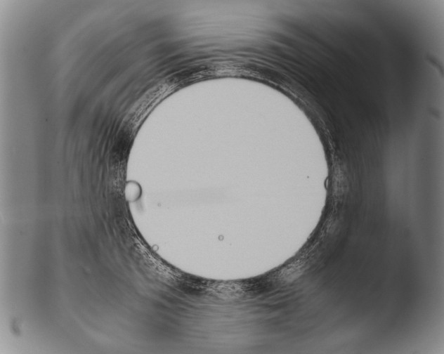 X0000103940801200810311524