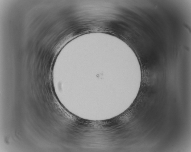 X0000103940803200810311524