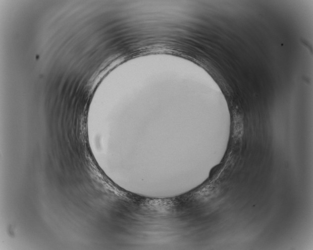 X0000103940806200810311524