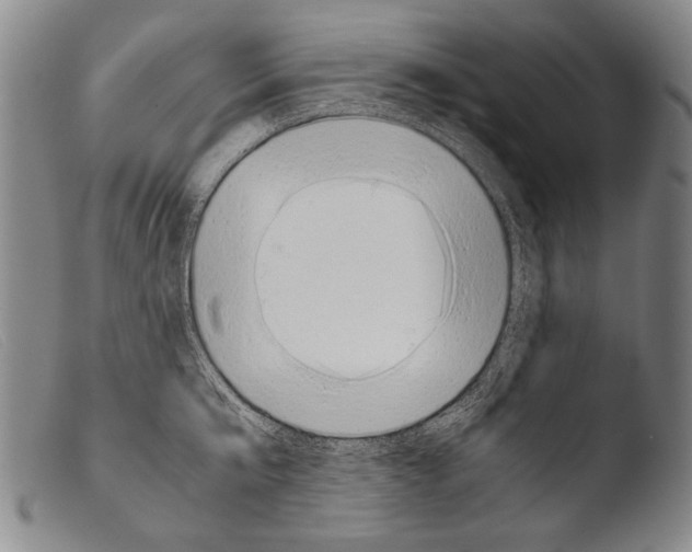 X0000103940807200810311524