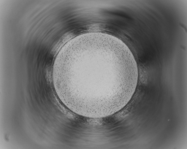 X0000103940810200810311524