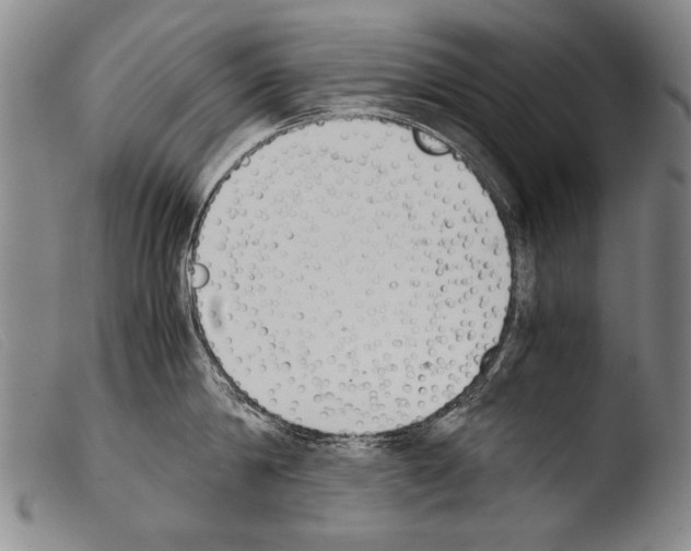 X0000103940814200810311524