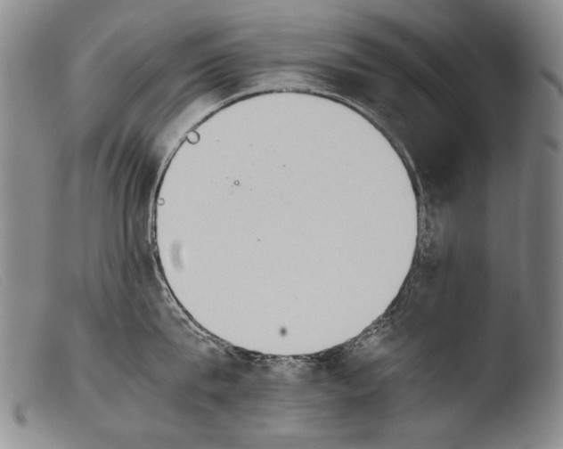 X0000103940815200810311524