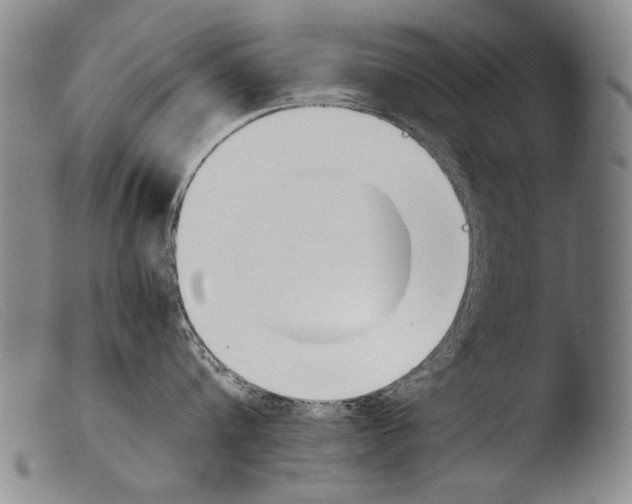 X0000103940816200810311524