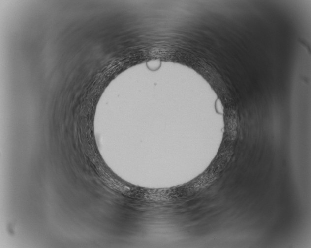 X0000103940817200810311523