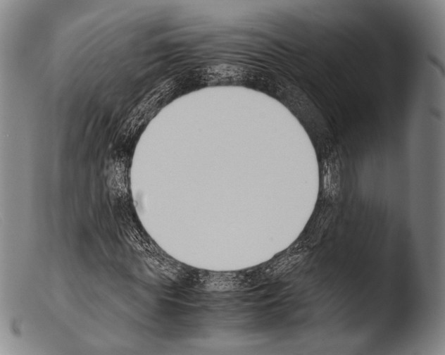 X0000103940819200810311523