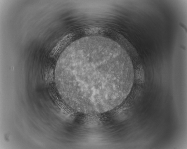 X0000103940820200810311523