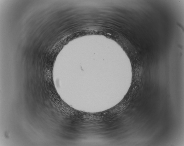 X0000103940821200810311523