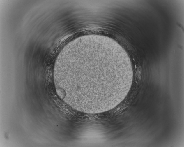 X0000103940822200810311523