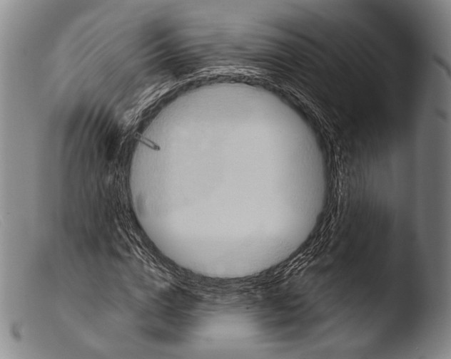 X0000103940824200810311523