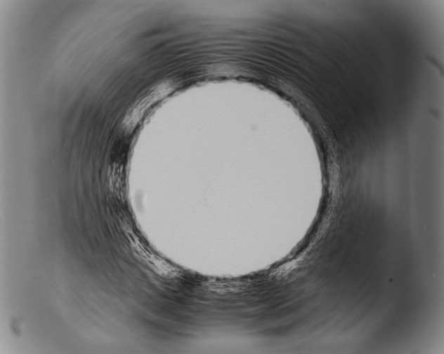 X0000103940825200810311523