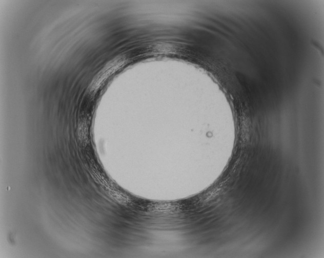 X0000103940826200810311523