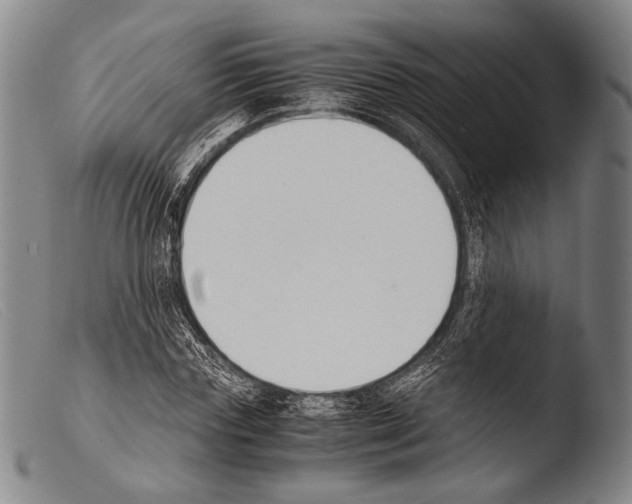 X0000103940827200810311523