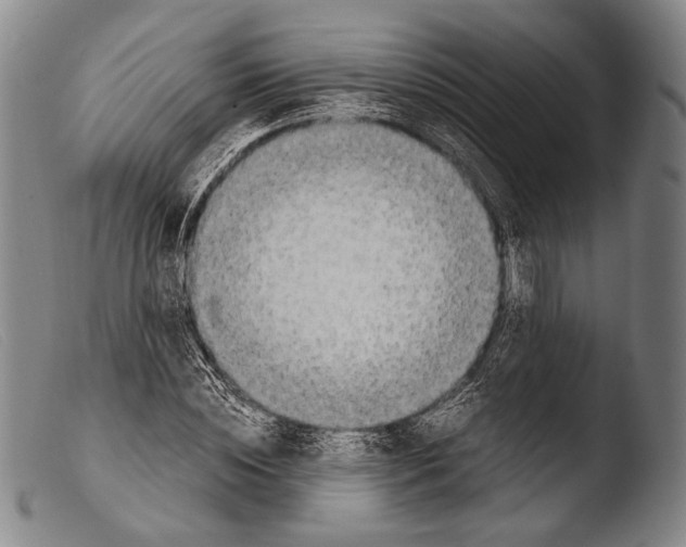 X0000103940828200810311523