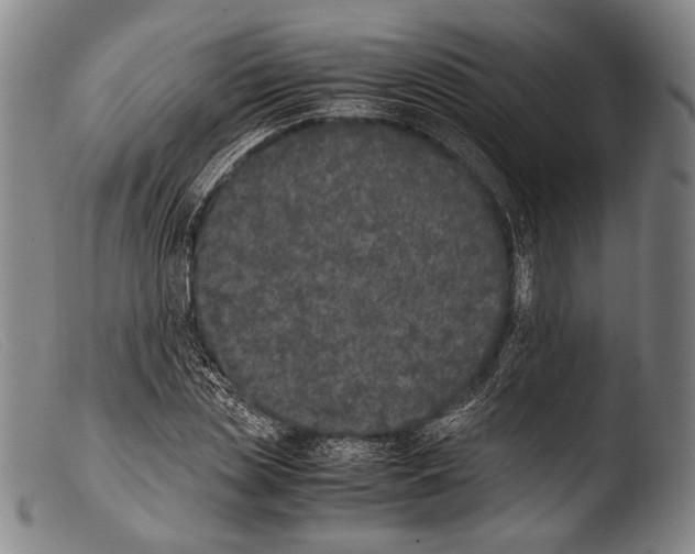 X0000103940829200810311523