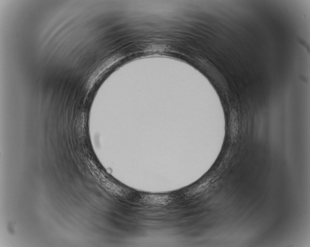 X0000103940831200810311523