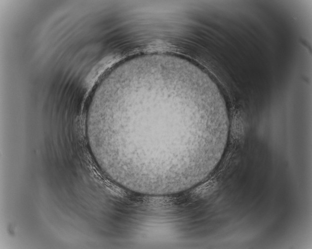 X0000103940832200810311523