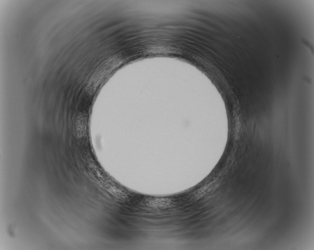 X0000103940833200810311523