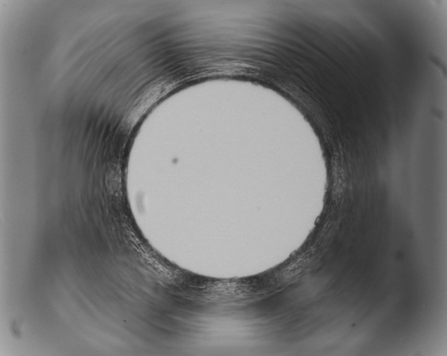 X0000103940834200810311523