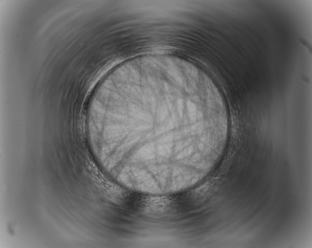 X0000103940835200810311523