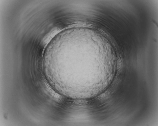 X0000103940836200810311524