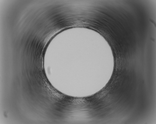 X0000103940838200810311524