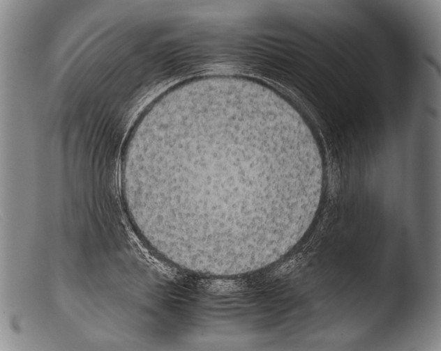 X0000103940839200810311524