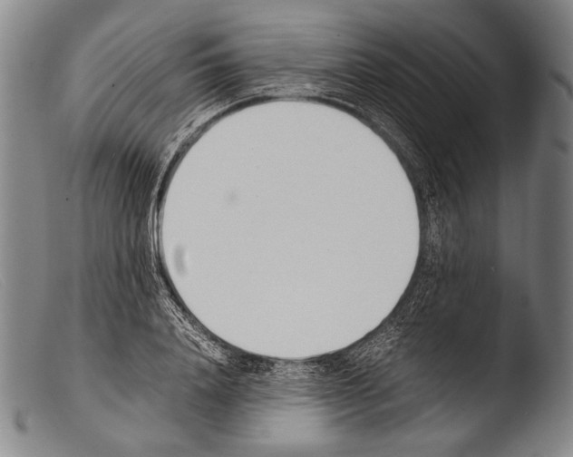 X0000103940840200810311524