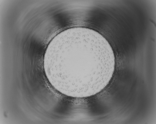 X0000103940842200810311524