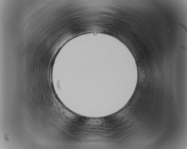 X0000103940843200810311524