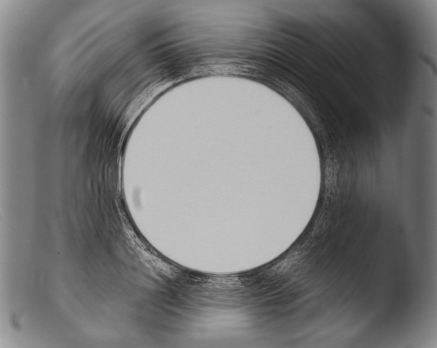 X0000103940844200810311524