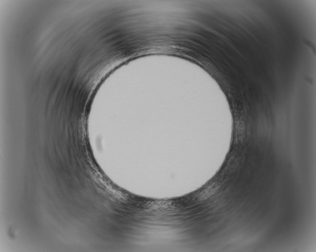 X0000103940846200810311524