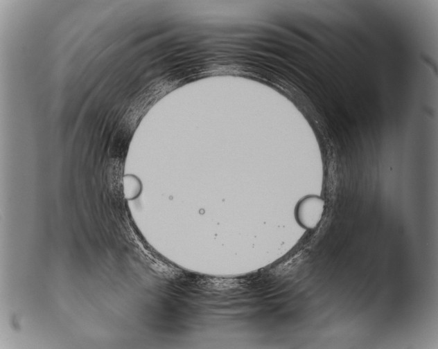 X0000103940849200810311524