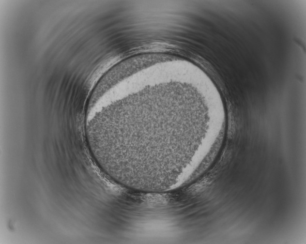 X0000103940850200810311524