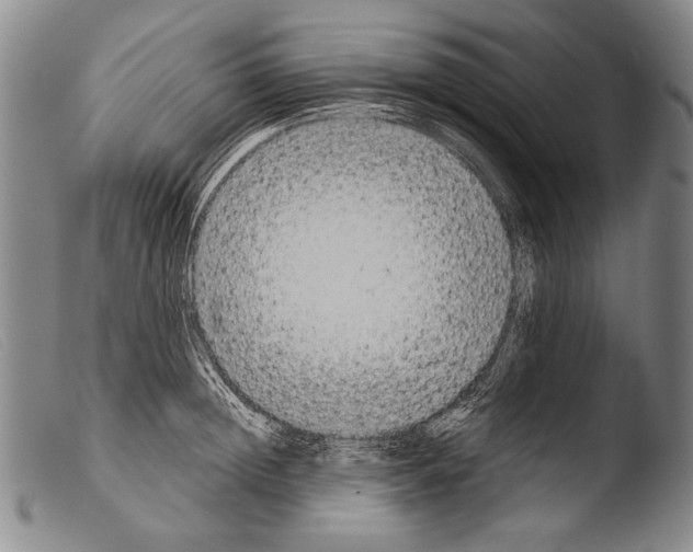 X0000103940852200810311524