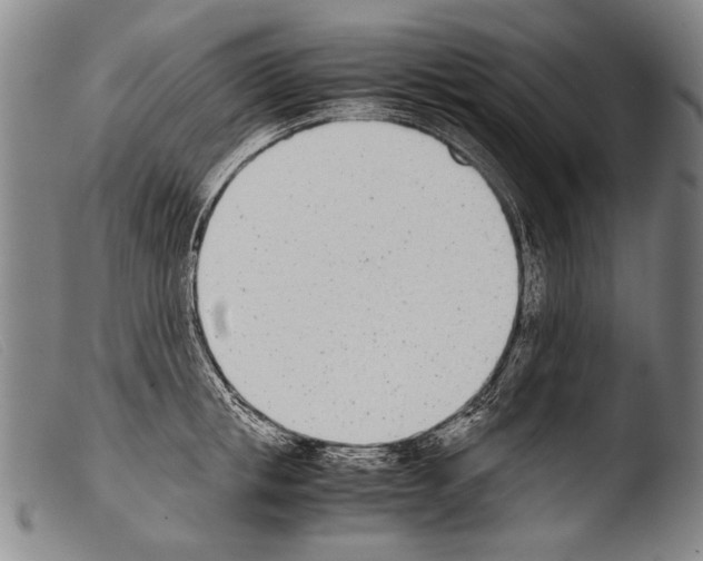 X0000103940853200810311524