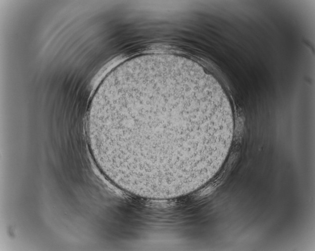 X0000103940855200810311524