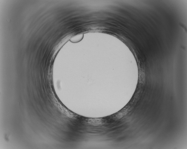 X0000103940859200810311524