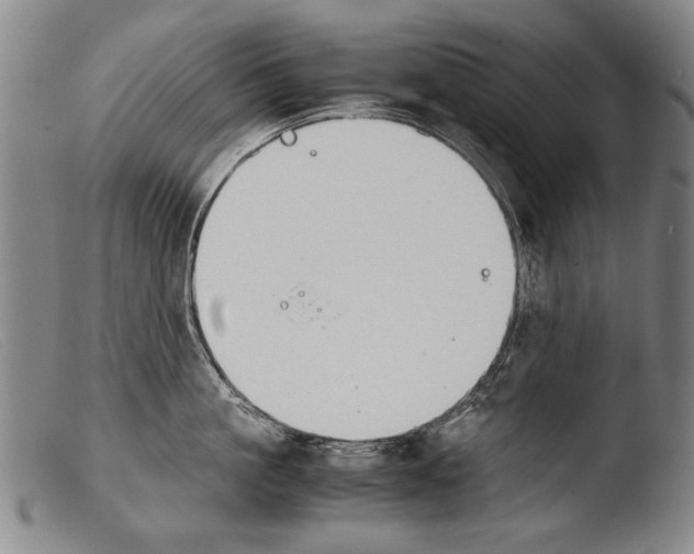 X0000103940861200810311524