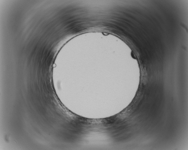 X0000103940862200810311524