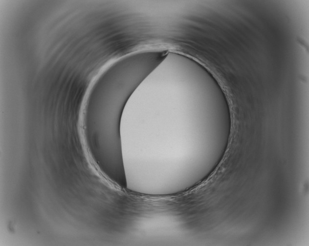 X0000103940864200810311524